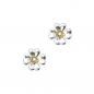 Preview: Thomas Sabo Ohrstecker SD_H0001-179-14
